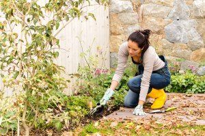 Women working on flowerbed