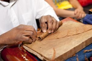 man rolling a cigar