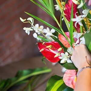 tropical flowers being spread by a woman