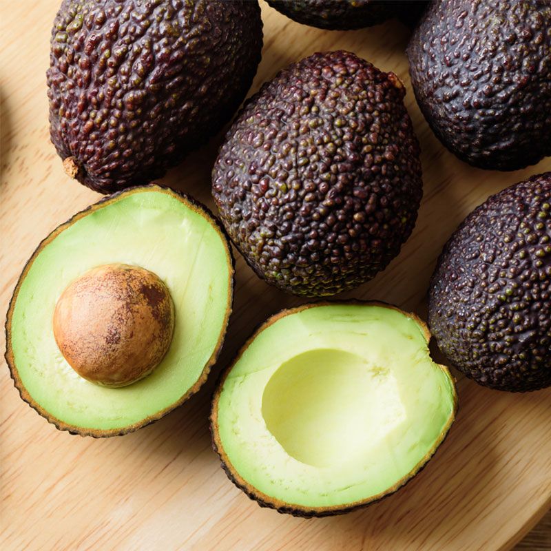The Haas Avocado | Clubs of America